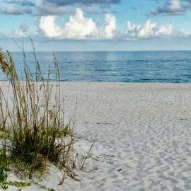 White Sand and the Beauty of Dune Grass